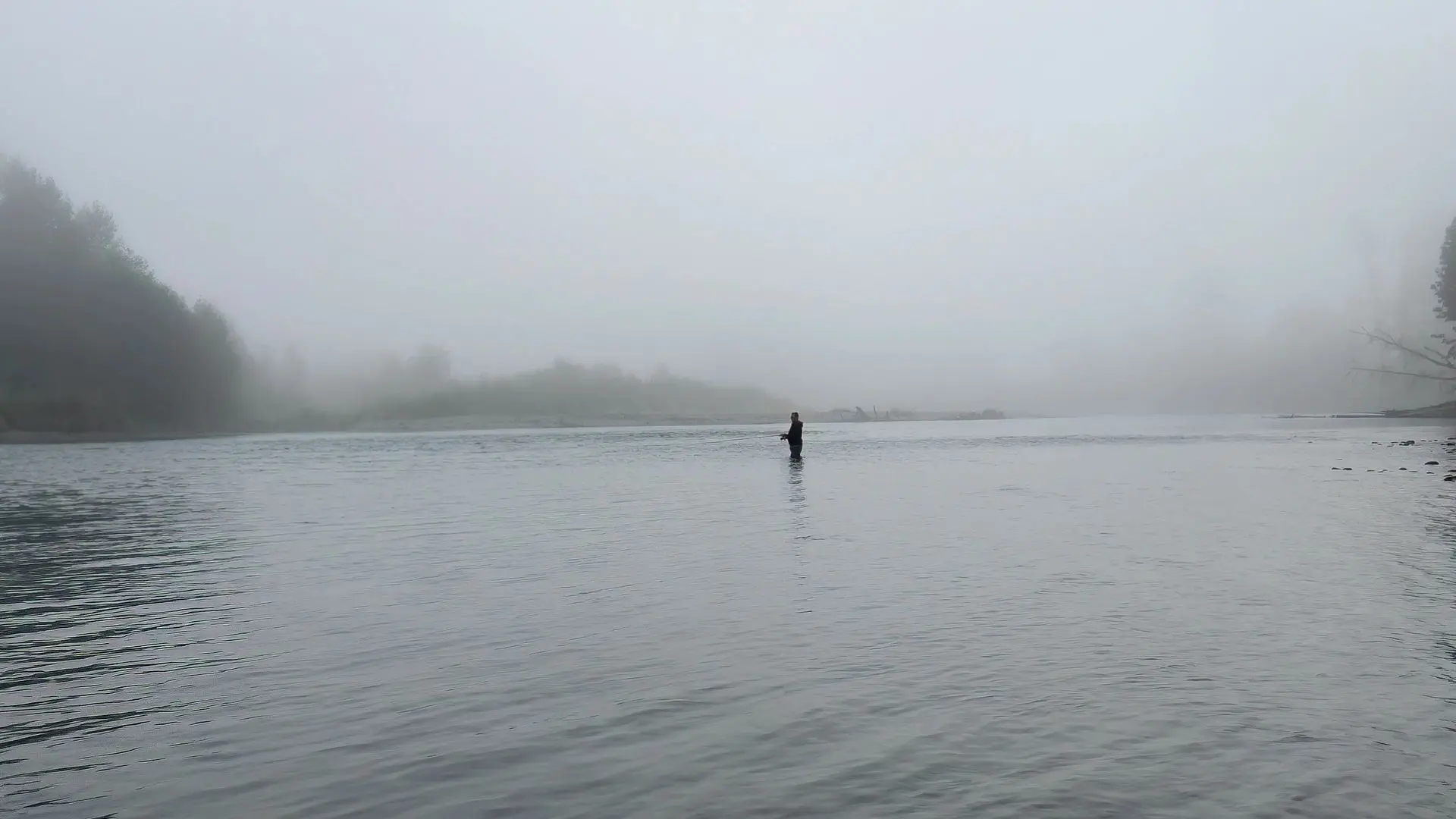 Angler silhouetted on a misty river at dawn — steelhead country